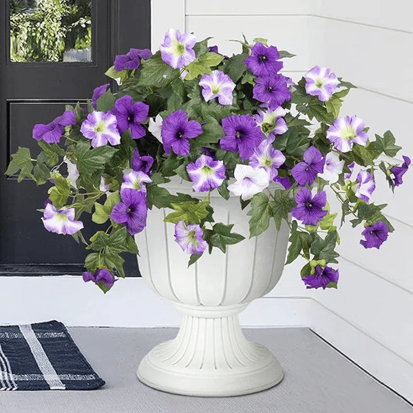 The AuraBloom Petunias — A Perfect Garden, Effortlessly + 50% OFF