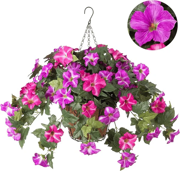 The AuraBloom Petunias — A Perfect Garden, Effortlessly + 50% OFF - Image 11