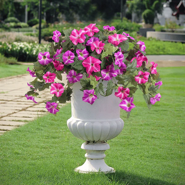 The AuraBloom Petunias — A Perfect Garden, Effortlessly + 50% OFF - Image 14