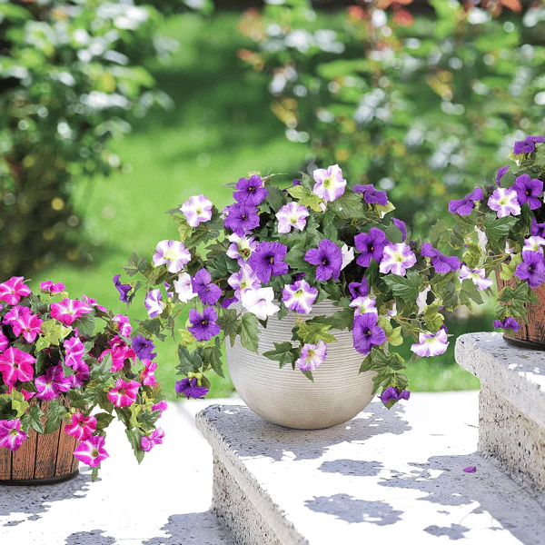 The AuraBloom Petunias — A Perfect Garden, Effortlessly + 50% OFF - Image 4