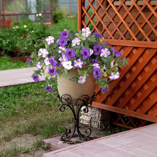 The AuraBloom Petunias — A Perfect Garden, Effortlessly + 50% OFF - Image 6
