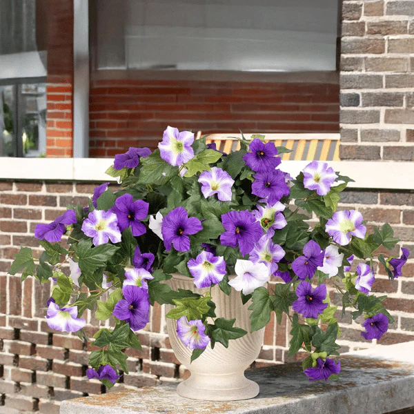 The AuraBloom Petunias — A Perfect Garden, Effortlessly + 50% OFF - Image 8